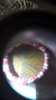 20160831_175523.jpg