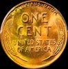 vet coin 2 rev.jpg