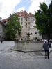 IMGP0278.JPG