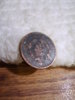 Large Cent Cleaning 006.jpg