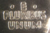 close up 3.jpg