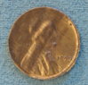 DSC05720.JPG