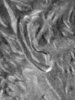 1997 DDear ear 2.jpg