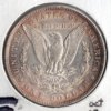 1883 morgan back.jpg
