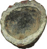shell art ast 2.jpg
