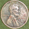 Penny Final 3.jpg