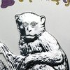 2004 MONKEY DIAMOND EYES.jpg