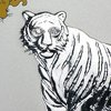 2010 TIGER DIAMOND EYES.jpg