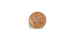 2000reverse.jpg