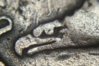 coins001.jpg