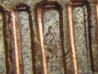 61-D RPM rev abe.jpg