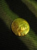 error penny 005.JPG