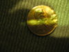 error penny 004.JPG