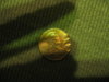 error penny 003.JPG