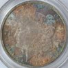 1884 O MS 63 PCGS.jpg