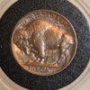 1913 type II Bison nickel reverse.jpg