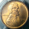 01c 1909S obverse 03.jpg