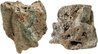 RS fragment GM 10.11.16.JPG