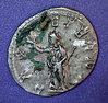 trebonianus gallusb.jpg