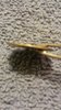 20161123_213502.jpg