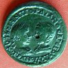 AE Gordian+.jpg