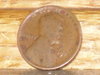 SDC19051.JPG