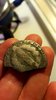 20161203_231304.jpg