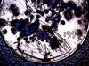 1999 PENNY4.jpg
