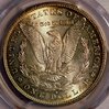 1879 Morgan MS64 PCGS Obverse.jpg