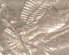 DSC03977.JPG