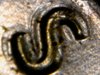 coins 137.jpg