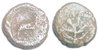 sconosciuta_1gr68_110mm_1mm90.jpg