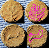 sconosciuta_1gr68_110mm_1mm90.png