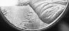 1991dCent2.jpg