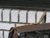 snake 005.jpg