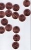 09 Zincolns.jpg