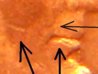 Three Mouths.jpg