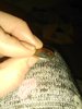 IMG_20170112_051051.jpg