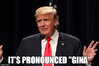 1c2Gina5ew.jpg
