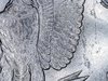 Coin22(3).jpg