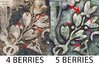 1805-4-berries-vs-5-berries-draped-bust-dime-1.jpg