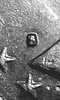 CM170125-20293210.jpg