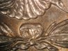 no E at tail feathers.jpg