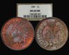 1881 NGC MS65 BN.jpg