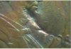 1998 1C_c.jpg