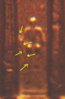 2006pDDRcent4b.JPG