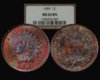 1904 NGC MS64 BN.jpg