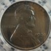 1920-D 64 BN PCGS O.JPG
