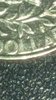 CM170204-08492109.jpg