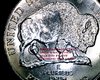 S20170206_0002.jpg